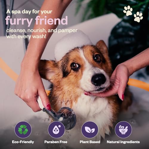 Image of 2-in-1 Pet Shampoo & Conditioner - Lavender & Frankincense Oil - 300ml| Soft & Shiny Coat | Anti-Shedding & Odor Control| Fleas & Ticks Dog & Cat Shampoo| Gentle Puppy & Adult Pet Wash