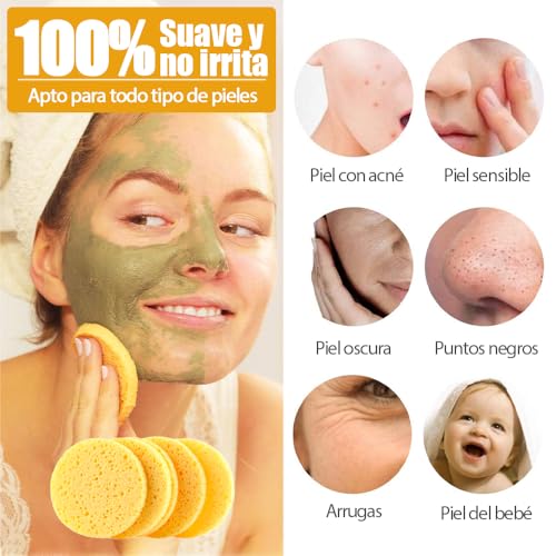 Catálogo de Esponja celulosa más recomendados. 13