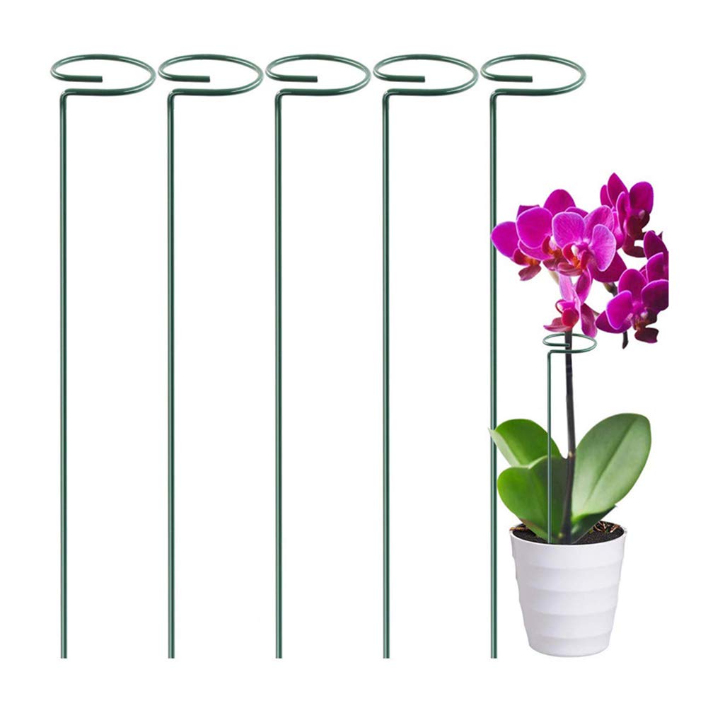 Welherkom Lot De 10 Piquets De Support Pour Plantes Avec 24 Attaches