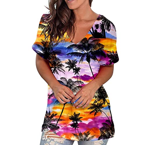 Dasayo Womens V Neck Tops Loose Fit Summer 2023 Casual Tshirt Tunic Fashion Beach Hawaiian Shirts Blouses Holiday Outfits #TOP1