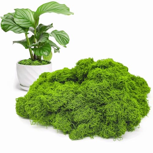 Aspamms Fake Green Moss for Potted Plants Indoor, 7oz Artificial Moss for Crafts, Faux Moss Decor for Fairy Garden, DIY Decorative, Model Making, Walls, Glass Containers, Home