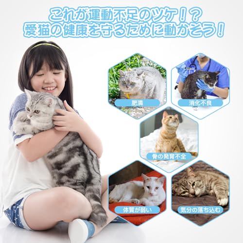 HOVONO 万歩計付きキャットホイール の商品画像 6