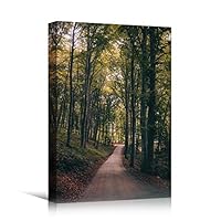 Canvas Wall Art Green Forest Dramatic Forest Landscape Living Room Multicolor Photography Rustic - 12x18 inches