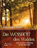 Schirner Verlag