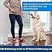 PetSafe Teach und Treat Ferngesteuerter Belohnungstrainer für Hunde, Training und Positive Verstärkung, 4 D Batterien nötig, Grau.