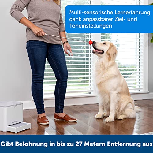 PetSafe Teach und Treat Ferngesteuerter Belohnungstrainer für Hunde, Training und Positive Verstärkung, 4 D Batterien nötig, Grau.