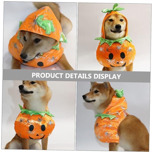 Disfraz para Perro Halloween Calabaza Pequeño miniatura 3