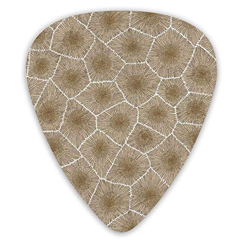 Médiators pour guitare Petoskey Stone Pics de basse de qualité supérieure pour guitare électrique et guitares basses… - Les Beatles, Paul McCartney, John Lennon, RIngo Starr, George Harrison Médiators pour guitare Petoskey Stone Pics de basse de qualité supérieure pour guitare électrique et guitares basses…