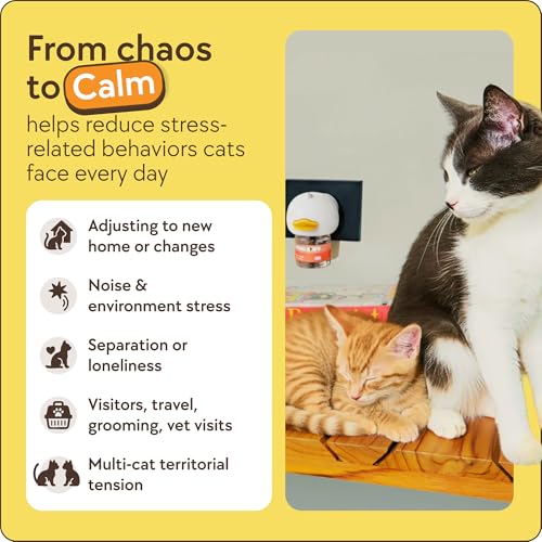 TherapetMD 60-Day Cat Calming Diffuser - Cat Pheromone Diffuser for Stress, Pee Spraying, Cat Fighting, Aggression, Excessive Meowing & Scratching - 60-Day Refill Included - Packaging May Vary - Image 5