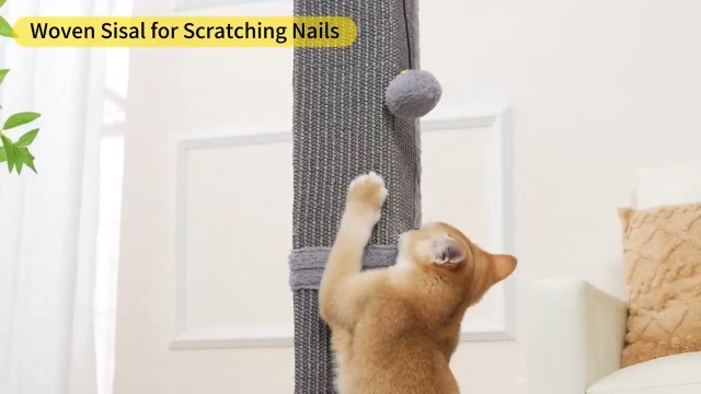 Go to store page for "Cat Scratching Post". - image 8