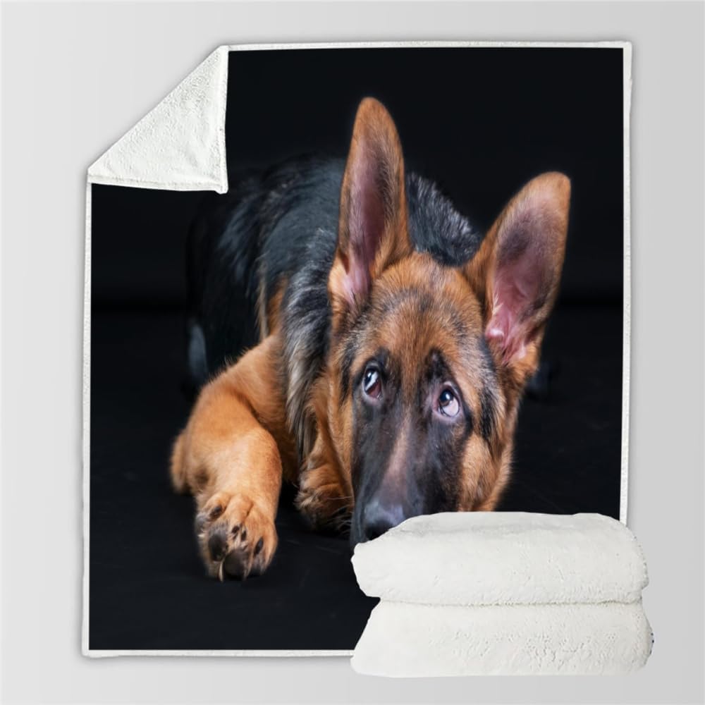Couverture Chien de Berger 3D Plaid Polaire 180x200 Chien Doux Microfibre Couverture en Flanelle Animal Couvertures et Plaids Chaud pour lit Jeté de Canapé m1145