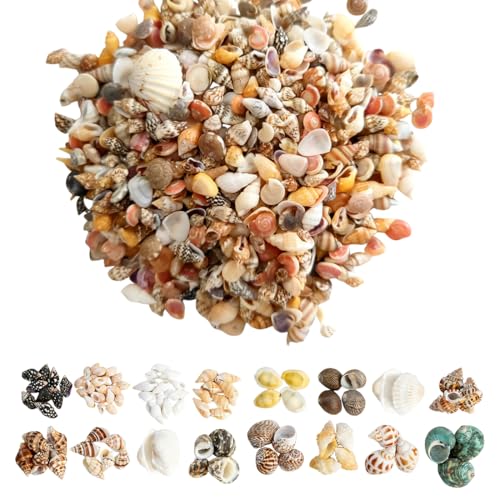 YIPFEN Mini Coquillages Naturels Mélangés, Lot d'environ 200 Pièces Non Percées pour Décoration Maison, Aquarium, Remplissage Vase & Bricolage DIY