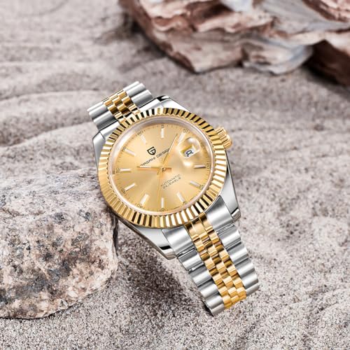 Image of Pagani Design Men's Watch Automatic Watch Japanese Automatic Movement Classic Timepiece Sapphire Crystal 100m Water Resistance Luminous Business Men's Watch