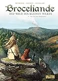  Broceliande. Band 6: Das Tal ohne Wiederkehr (Broceliande / Der Wald des kleinen Volkes)