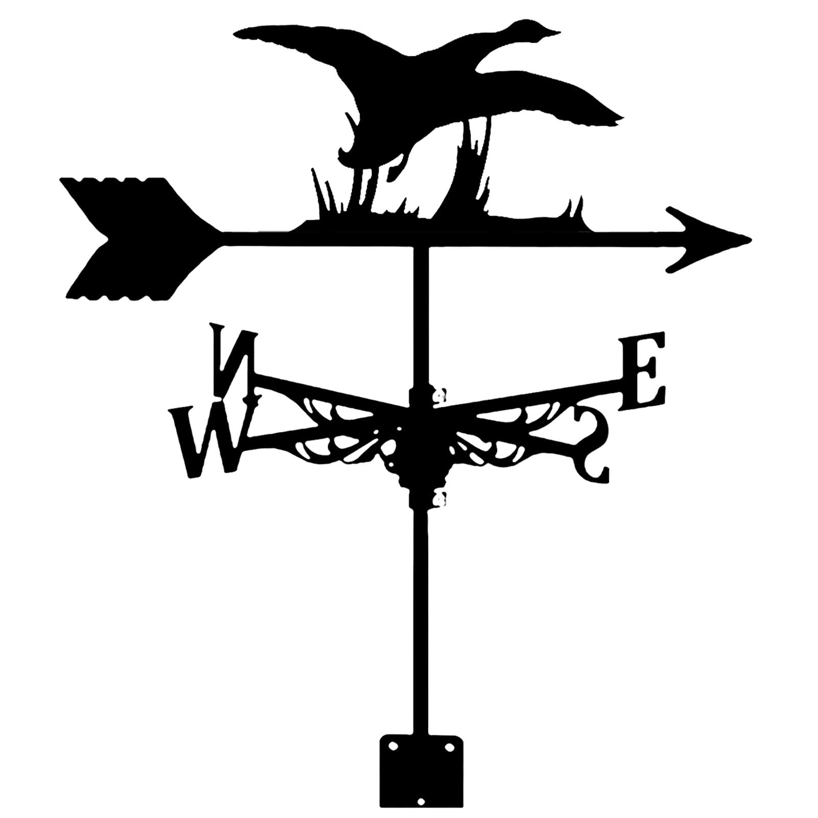 Zwarte