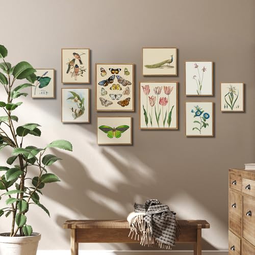 crmotu Botanical Framed Wall Art, Iris Floral Canvas Art Wall Decor, Nature Plant Aesthetic Vintage Prints, Minimalist Still Life Bathroom Bedroom Home Office Kitchen Decorations Artwork, 8x10inch