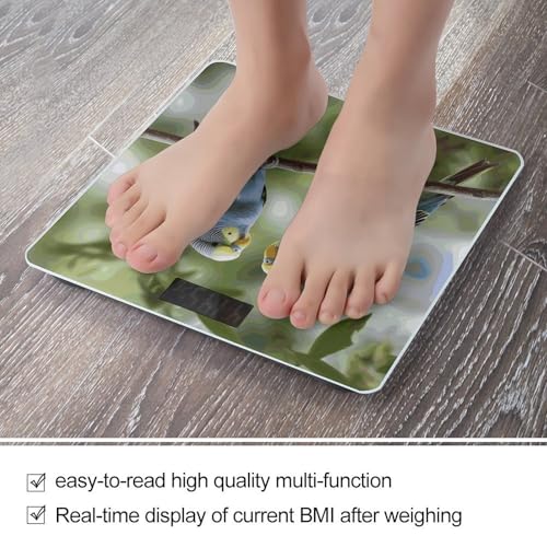Báscula Digital de Baño para Peso Corporal con Plataforma Antideslizante miniatura 5