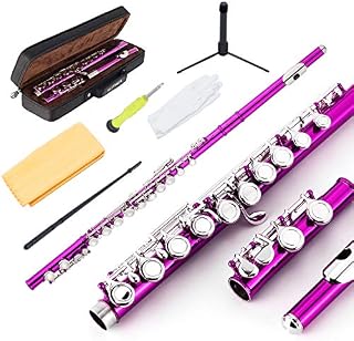 EastRock Closed Hole Flutes C 16 Key for Beginner, Kids, Student -Nickel Flute