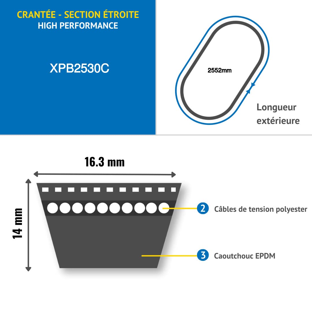 CMW - Cinghia trapezoidale stretta dentellata - Sezione XPB (16,3 mm x 13 mm) - XPB2530 - Lunghezza interna 2471 mm