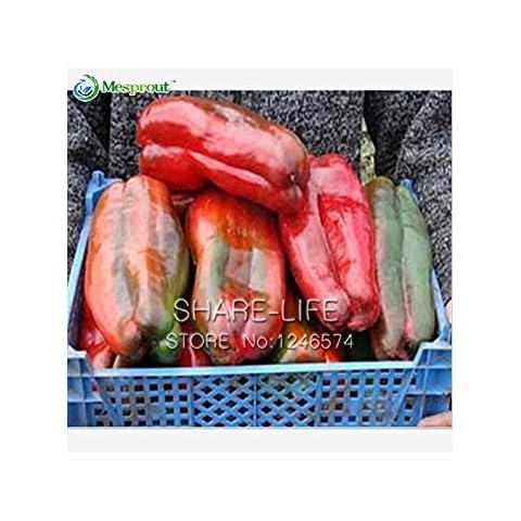 100 Seeds/Pack Giant Sweet Pepper Seeds Cover