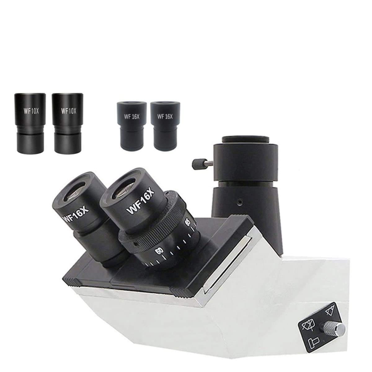Microscopio Cabezal de microscopio biológico de Metal con Ocular WF10X WF16X, Cabezal de microscopio Trinocular Binocular Monocular, Cabezal de microscopio de enseñanza(Trinocular Head)