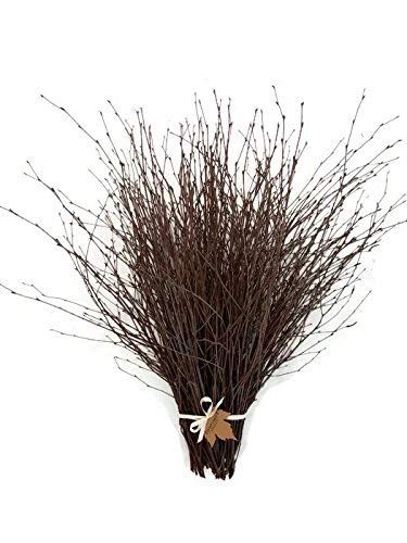 Small Natural Birch Branches 12" to 24", Pack of 100 Stems