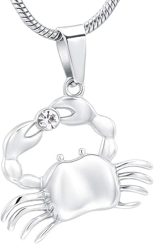 OIJH Ataúdes Y Urnas,Artículos Conmemorativos Joyería De Cremación De Acero Inoxidable para Las Cenizas De Las Urnas del Tenedor Pendiente para El