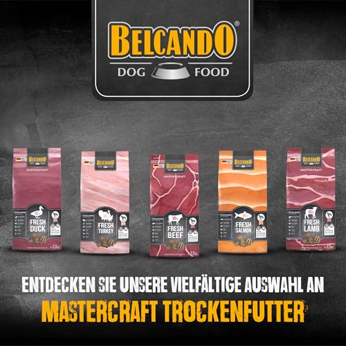 BELCANDO MASTERCRAFT Hundefutter trocken Fresh Turkey, 2,2kg, Trockenfutter für Hunde mit Truthahn, 80% Frischfleisch, getreidefrei, für alle Rassen, Made in Germany