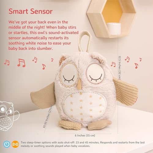 Image of Cloud b Sound Machine with White Noise Soothing Sounds | Cuddly Stuffed Animal | Adjustable Settings and Auto-Shutoff | Nighty Night Owl Smart Sensor