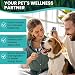 CocoPoco® Öl für Hunde & Katzen - Zur Entspannung und für Gelenke, 100% Natürlich – Beruhigende Tropfen für Hunde - Mit Omega 3, 6 & 9
