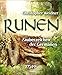 Runen: Zauberzeichen der Germanen Runen günstig Kaufen-Runen: Zauberzeichen der Germanen