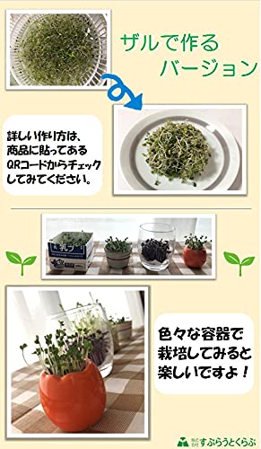 Amazon.co.jp: ブロッコリースプラウト用種子 (1000ml) : DIY・工具