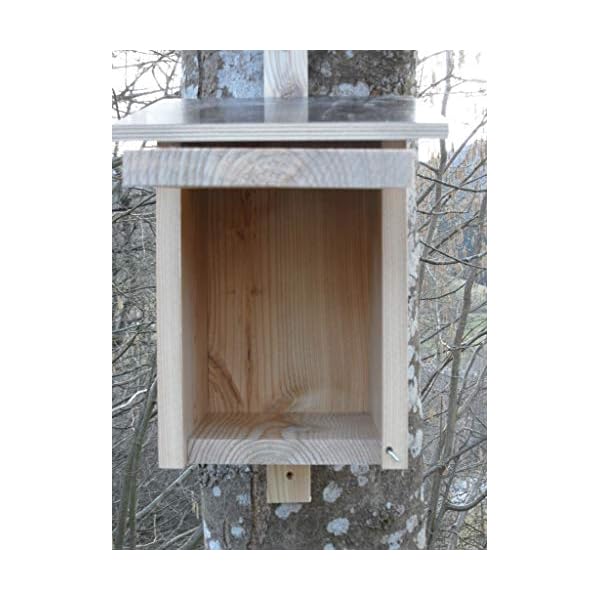 Premium Natur Lärchenholz Nistkasten unbehandelt nach Nabu Star Kasten Buntspecht 45mm Einflugloch, massives Vogelhaus… – Bild 6