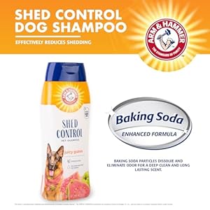 Arm  hammer for pets shed control shampoo 20oz juicy guava scent | professional quality dog shed less shampoo de shedding dog shampoo free of sodium lauryl sulfate  parabens   cucciolini doodles