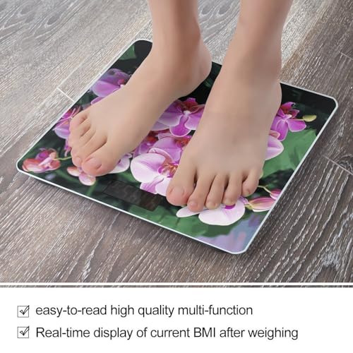Báscula Digital de Baño Precisa de Cristal Templado miniatura 5