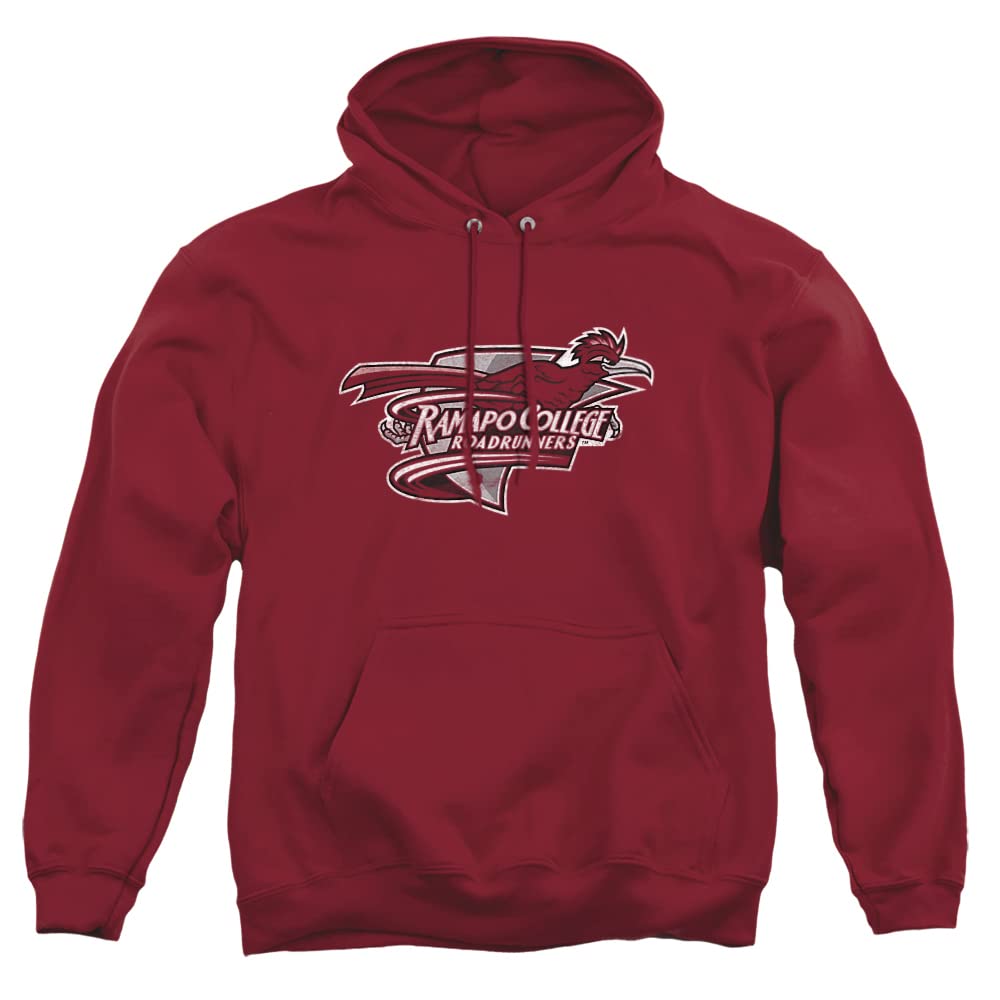 LOGOVISION Official Collegiate Distressed Primary Logo Adult Pullover Hoodie Collection — view 418