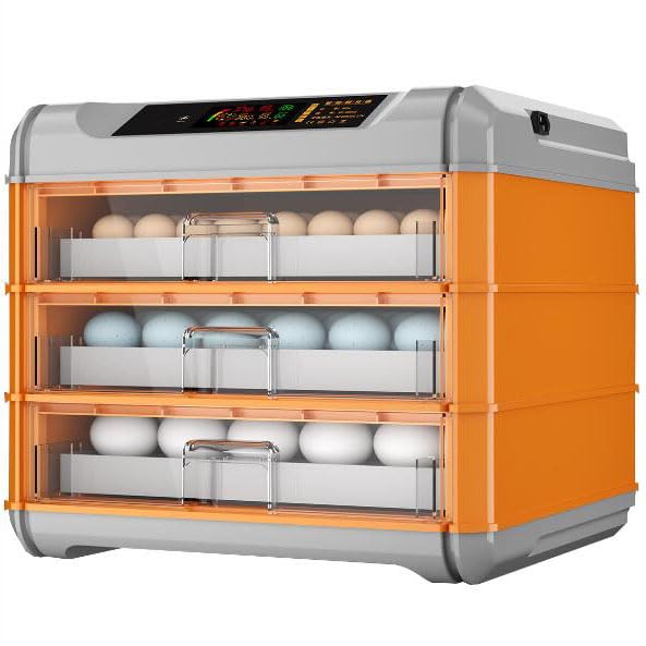 Couver des poulets et canards à la ferme avec cet incubateur intelligent 192 oeufs