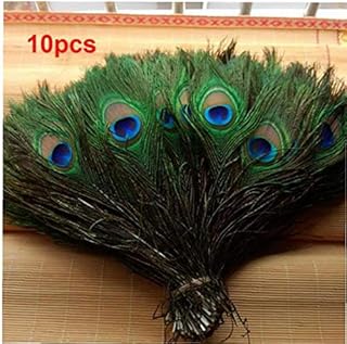 Angoter 10pcs/Set Beautiful Natural Peacock Feathers Eyes for Clothes Decoration Wedding Party 26-30cm Tail Feathers