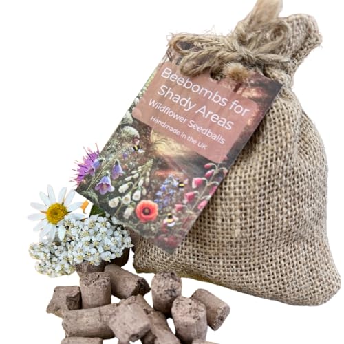 Shady Mix Beebombs - Shade-Tolerant Wildflower Seedballs Bee & Pollinator Friendly Garden Habitat