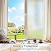 Coavas Window Privacy Film Decorative, Frosted Glass Window Film Non Adhesive, Static Cling, UV Blocking Window Clings for Home Office (Clear, 17.5 x 78.7 Inch)