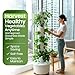 ALTO GARDEN GX Hydroponic Tower | Vertical Planter Tower | Hydroponics Growing System Kit | Food Grade with 24 Net Pots (with LED Grow Lights)
