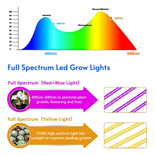 Ailgely 4 Pack Led Grow Lights For Indoor Plants Full Spectrum Waterproofplant Light Strip 10 Dimmable Levels 3 Working Modes Timer 3/9/12H Grow Lamp With Remote Control For Indoor Plant Growing #TOP4