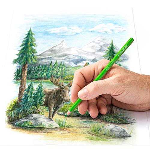 Crayons de couleur de haute qualité Staedtler 146C M72 avec mine douce 3 mm