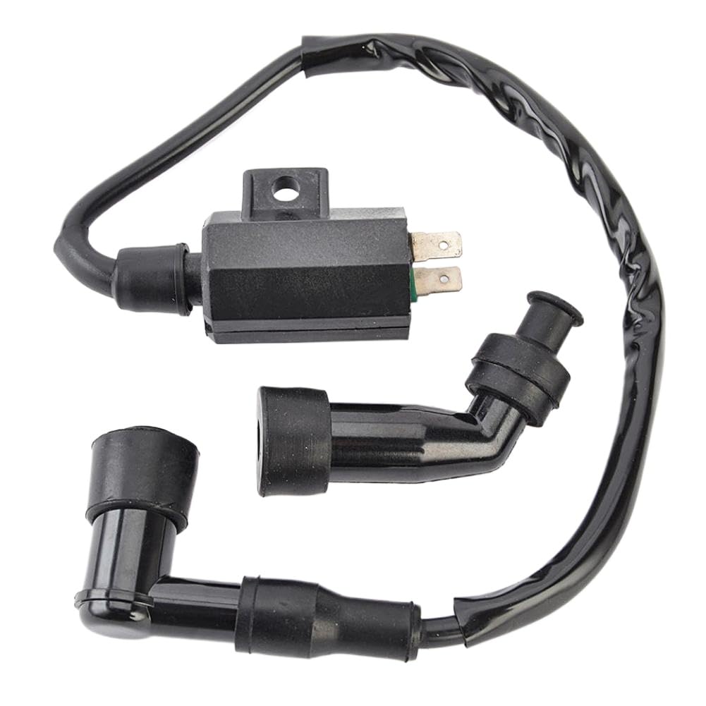 Conjunto de bobina de encendido compatible con LT-F250 Ozark 250 LT-Z250 QuadSport 250 LT-4WD LT-F4WD QuadRunner 33410-05G00 33410-42A00 22AV0