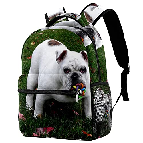Sac à dos voyage campus blanc bouledogue compartiment jouets mixte