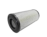 Luftfilter Hifi Filter SA 16238 P781039, 433893A1, 87682990, AF25964, 392120A1