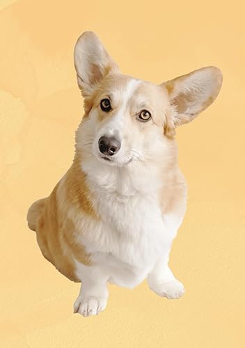 Cuaderno A5 perro Bloc de Notas, Libreta Mascota, Tapa Blanda, 100 páginas (Spanish Edition)