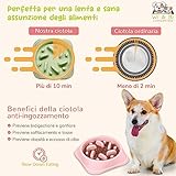 SP SEMPRE + B0953TN1G3 lato 3