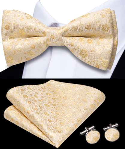 Image of Dubulle Mens Paisley Striped Bowtie Set Pre-tied Bowtie for Men and Pocket Square Set Wedding Business