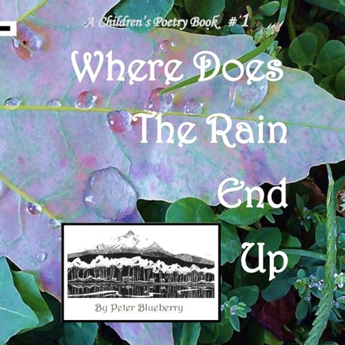 Where does the Rain end up (A Children's Poetry Book)